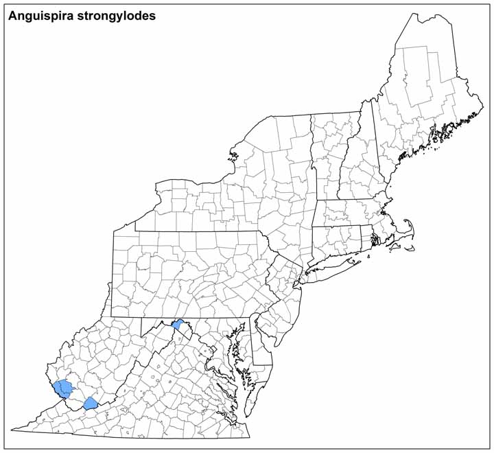 Anguispira strongylodes Range Map